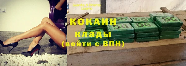 стаф Ладушкин