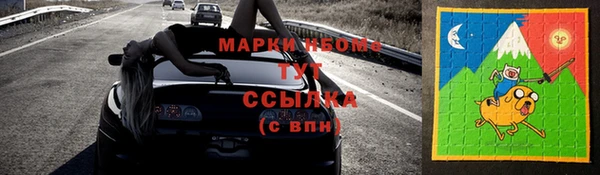 стаф Ладушкин