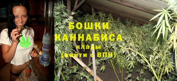 стаф Ладушкин