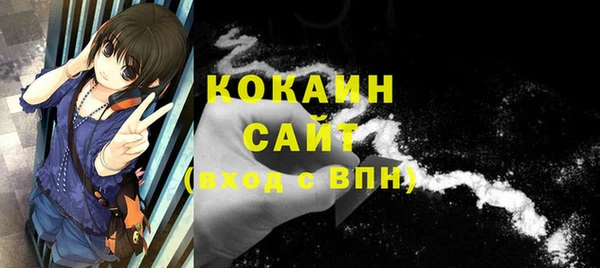 стаф Ладушкин