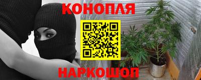 шишки Балахна