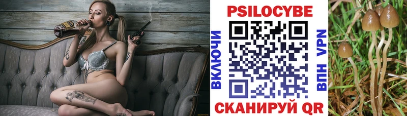 цены наркотик  Шебекино  Галлюциногенные грибы прущие грибы 