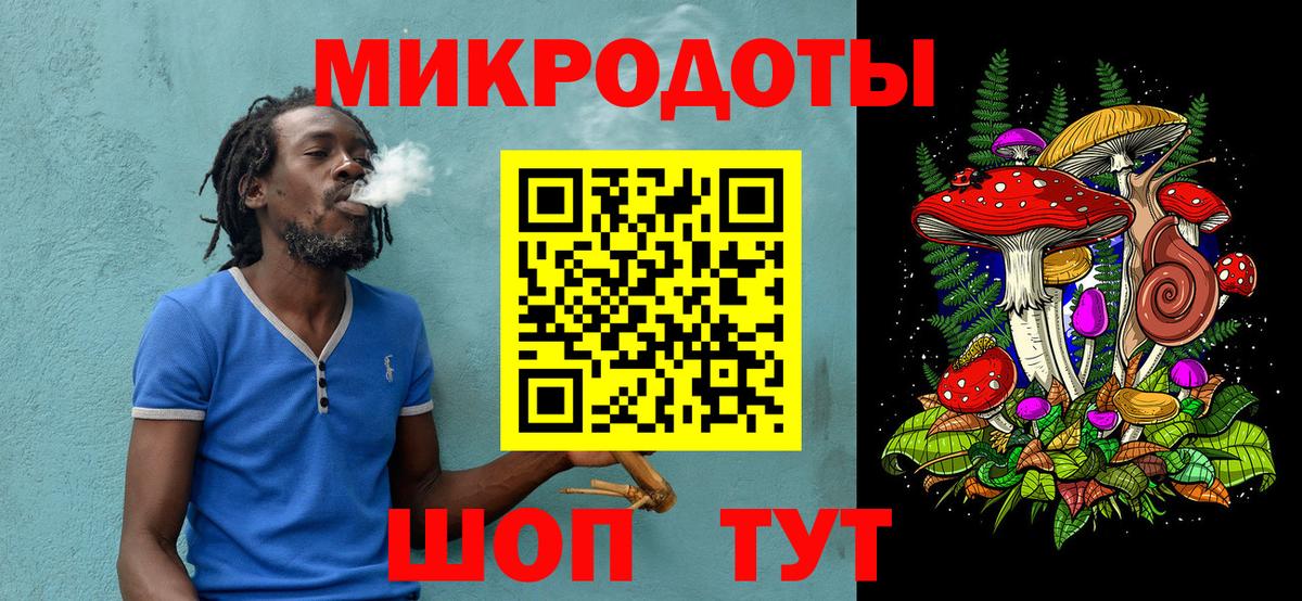 Бошки Шишки Шебекино