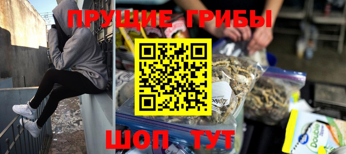Галлюциногенные грибы прущие грибы Шебекино